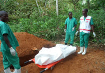 Камерунские власти в понедельник обнаружили два случая подозрения на болезнь Марбург в коммуне на границе с Экваториальной Гвинеей