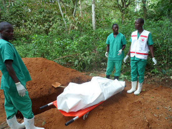 В Камеруне выявлено два случая почти неизлечимого марбургского вируса