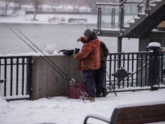 Мороз до - 16 градусов прогнозируют в Ростовской области в ближайшие сутки
