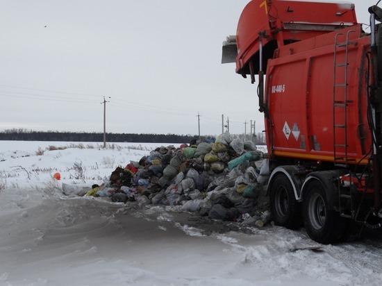 «Нас, мягко скажем, послали»: мусорный конфликт в Романовском районе рассмотрит арбитражный суд Алтайского края