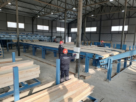 Современный центр переработки леса появится в ТОР «Хабаровск» за миллиард рублей