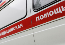 В Новгородской области 15 февраля выявили 33 новых случая заражения коронавирусом