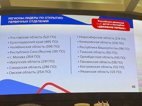 Пензенская область вошла в число регионов-лидеров по ячейкам РДДМ