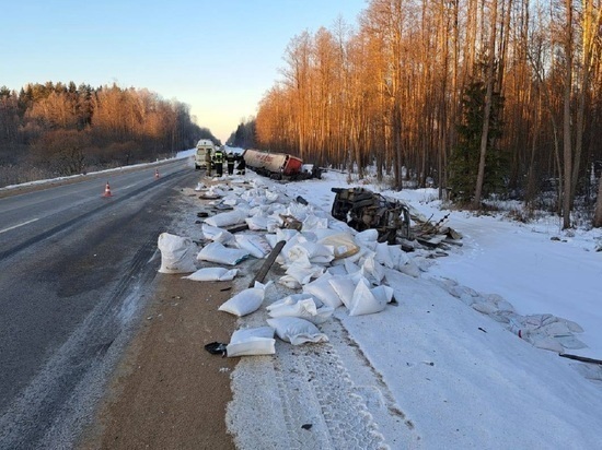 По факту ДТП с грузовиками в Калужской области возбуждено уголовное дело