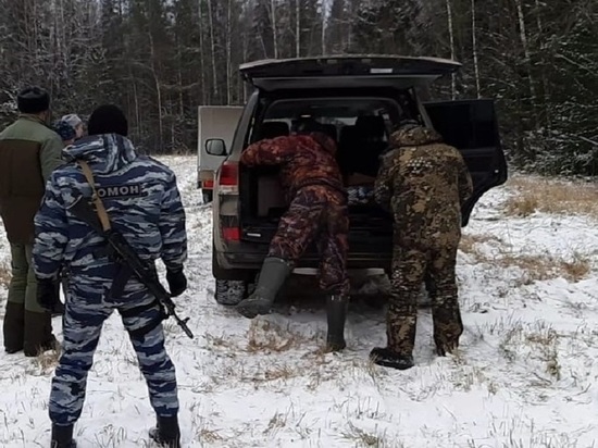 У жителей Подольска аннулировали охотничьи билеты за незаконный отстрел птиц