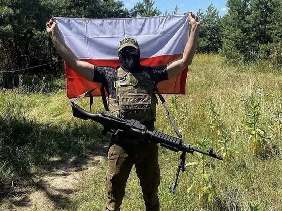 Польша сформировала Добровольческий легион для боев за Украину