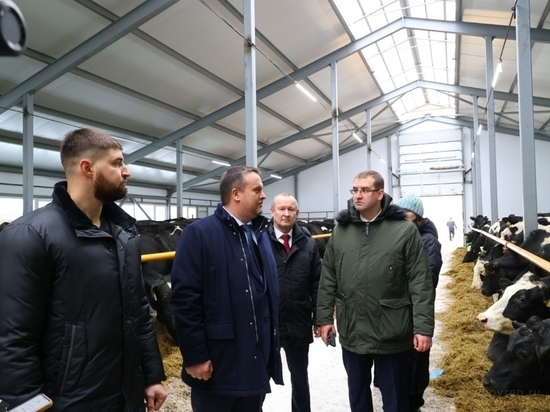 Андрей Никитин отметил рост сельского хозяйства в Батецком районе
