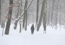 Жителей Новгородской области 17 и 18 февраля ожидает небольшой снегопад