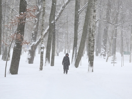 В Новгородской области 17 и 18 февраля ожидается снегопад