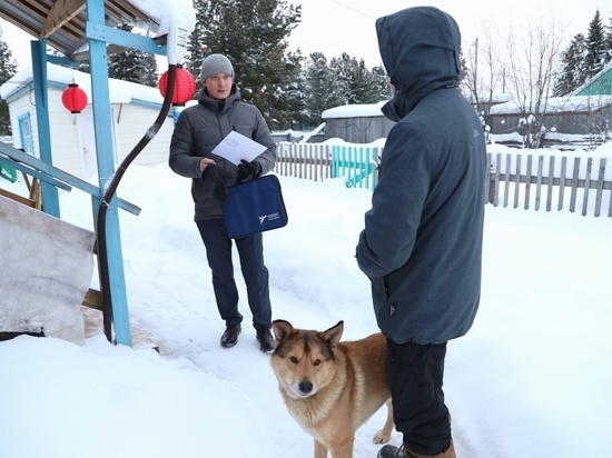 В селах Шурышкарского района владельцев собак на самовыгуле начали штрафовать