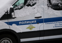 Появились подробности обнаружения отрубленных человеческих ног под Санкт-Петербургом