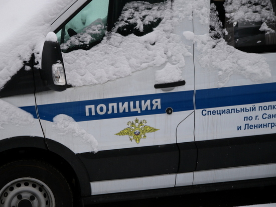 Появились подробности обнаружения отрубленных ног человека под Петербургом