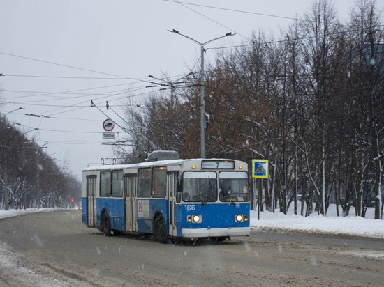 Стоимость проезда на троллейбусе в Йошкар-Оле вырастет до 24 рублей