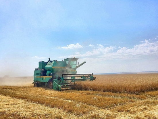 «Лучше меньше, да лучше» - в Костромском АПК прокомментировали результаты сельскохозяйственной микропереписи