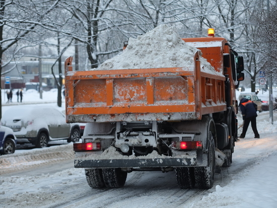 Жителей Великого Новгорода предупредили о сильном снегопаде