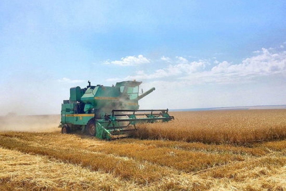 «Лучше меньше, да лучше» – в Костромском АПК прокомментировали результаты сельскохозяйственной микропереписи