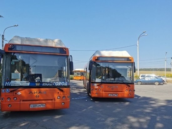 13 нижегородских водителей лишили премий за проезд остановок
