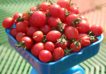 Минсельхоз добьется снижения импортных пошлин на помидоры и огурцы, если цены на эти сверхвостребованные россиянами овощи продолжат расти