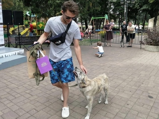 Жители Кисловодска бесплатно могут стерилизовать собак