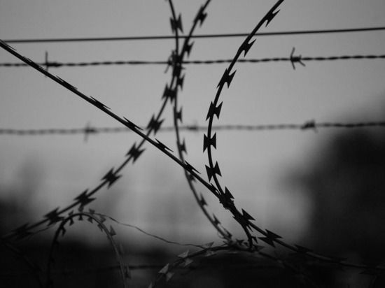 Под Минском задержали 94 нелегалов, прибывших с территории России
