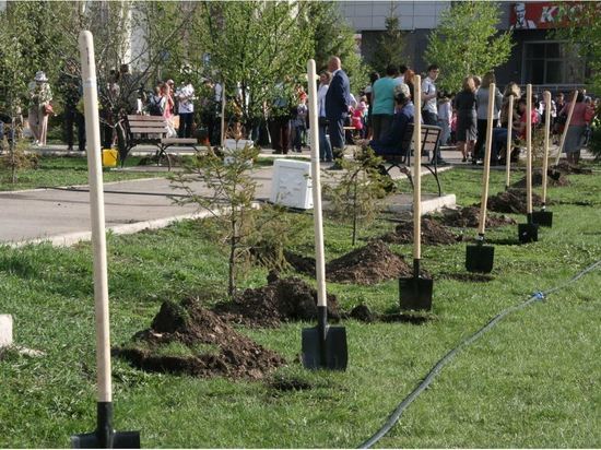 В Башкирии запасают семена лесных растений