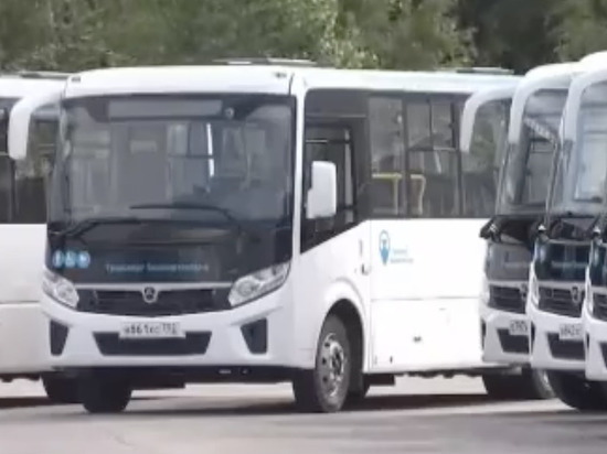 Правительство Башкирии закупит 20 туристических автобусов