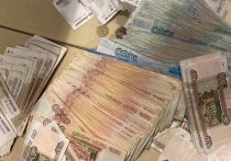 В полицию обратилась пожилая жительница Мурино и рассказала, как лишилась почти 1 миллиона рублей. По данным «МК в Ленобласти», возбуждено уголовное дело о мошенничестве.