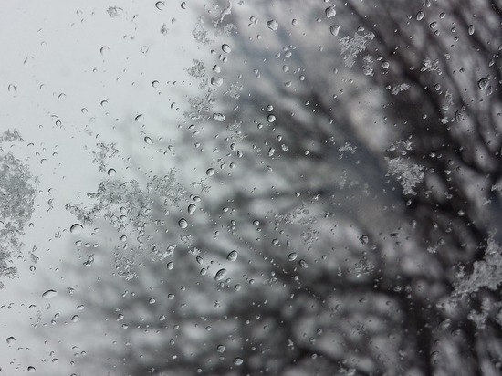 В Калмыкии 20 февраля ожидаются мокрый снег, дождь - местами сильные