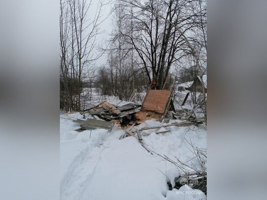 В Окуловском районе при сносе сарая погиб человек