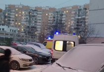 Свидетели рассказали про трагедию на юго-востоке Москвы 19 февраля, где под окнами 14-этажного дома на улице Генерала Кузнецова нашли двух школьниц