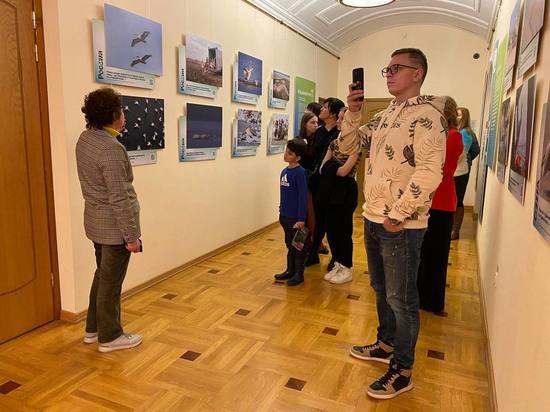 В Сочи в День орнитолога открылась выставка, посвящённая пеликанам