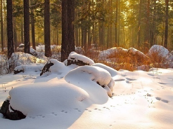 Снег и потепление до +2 градусов ожидается в Алтайском крае 20 февраля