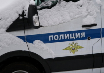 Возможные причины суицида двоих 13-летних девочек, найденных мертвыми в воскресенье днем возле дома  на улице Генерала  Кузнецова, установили правоохранительные органы