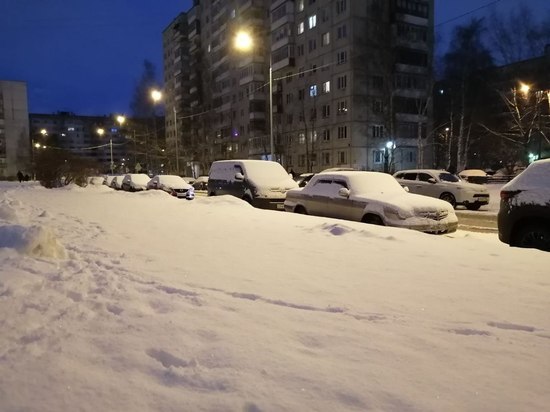 Холодная и снежная погода ждет Ленобласть в понедельник