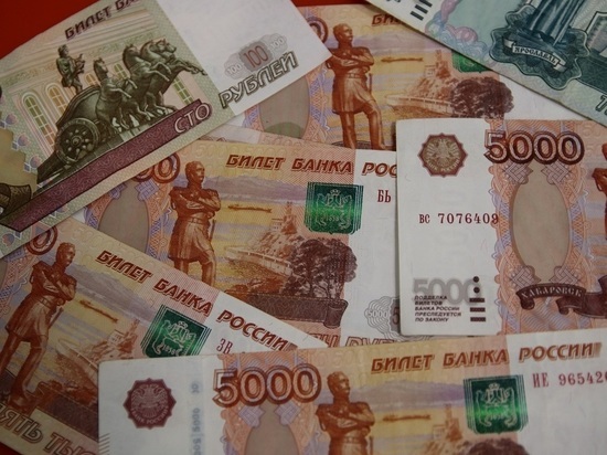 Депутат Госдумы Власов предложил разрешить тратить маткапитал на спортинвентарь