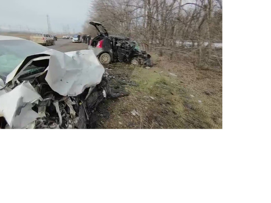 На Ставрополье в аварии погибли автоледи и ее 18-летняя дочь