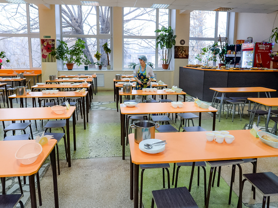 Наталья Котова потребовала отследить безопасность питания в школах Челябинска