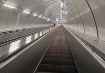 Станция метро «Технологический институт-1» будет закрыта на вход и выход на пять дней в конце февраля и начале марта. Об этом горожан предупредили в пресс-службе петербургской подземки.