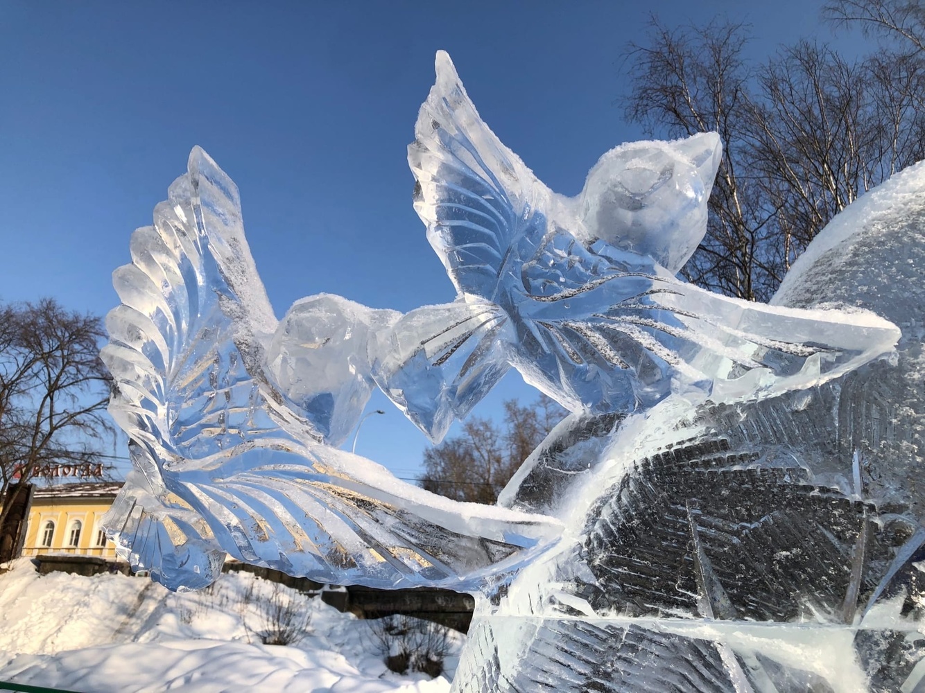 Вологжане могут сфотографироваться на фоне ледяных фигур в скейт-парке «Яма» в Вологде