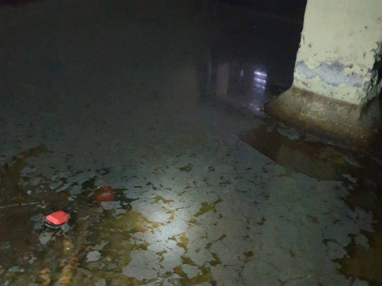 Жительница Мурино пожаловалась на трехнедельную вонь в доме из-за прорыва канализации в подвале