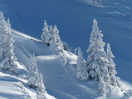 В горах Сочи снова ожидают сильные снегопады