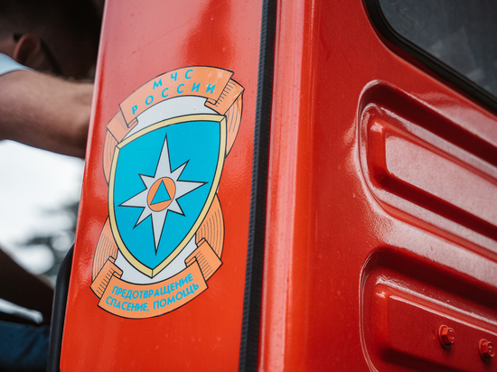 В селе под Тверью сгорел грузовик: водитель получил ожоги