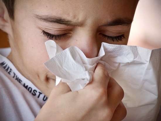 На прошлой неделе 182 жителя Марий Эл заболели гриппом