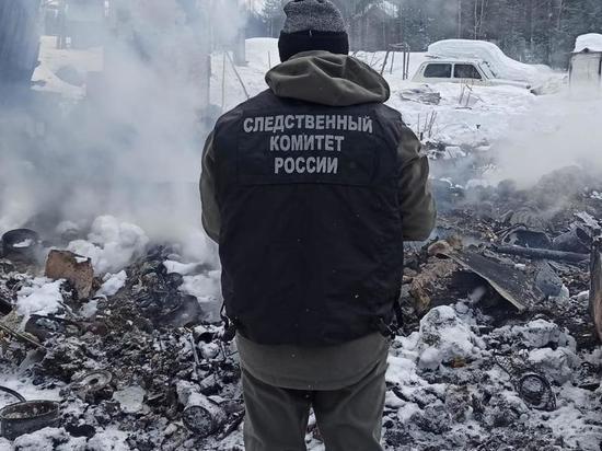 Следком приступил к проверке по факту гибели мужчины в пожаре в селе Колвица