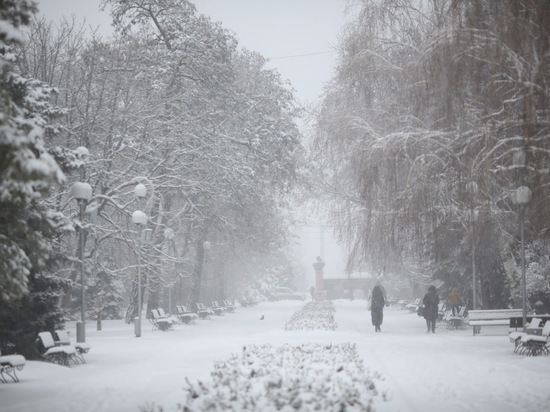 В Волгограде и области 21 февраля ожидаются снег и сильный ветер