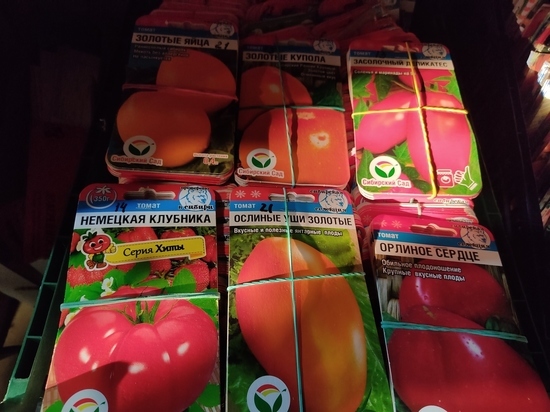 В Абакане в продаже нашли небезопасные семена томатов и огурцов