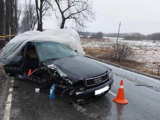 Под Гурьевском водитель на Audi врезался в дерево, пострадала пассажирка