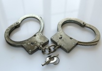 Октябрьский районный суд Санкт-Петербурга заключил до 18 марта под домашний арест местного жителя, который перекинул полицейского через плечо