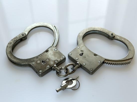 Суд отправил под домашний арест петербуржца, бросившего через спину полицейского