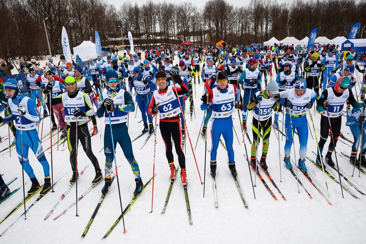 Лыжня прокуророва 2024. Лыжные чемпионы России. Лыжня Прокуророва во Владимире. Лыжный марафон сегодня во Владимире.